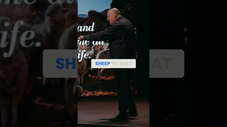 The Good Shepherd: Pursuing Our Well-Being Daily