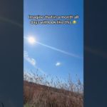 The sun is out sharing all the positive energy 😇#positivity #wellbeing #wellness #sun #sunnyday