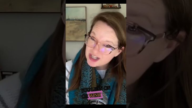 Therapist Well-being: Understanding the Ecological Systems Model