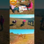 Wednesday wellbeing and pony club