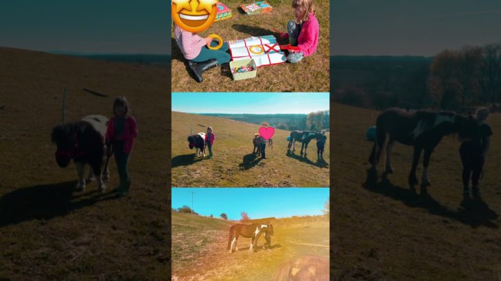 Wednesday wellbeing and pony club