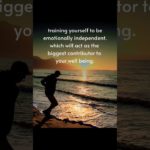 being emotionally independent acts as the biggest contributor to your well-being. #happiness