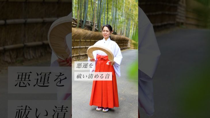 悪運を祓い清める音#スピリチュアル#スピリチュアルメッセージ#スピリチュアルカウンセラー#浄化#波動#運気#邪気祓い