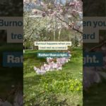 #wellbeing #mentalhealthmatters #mentalhealth #motivation #willyoung