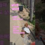 wellbeing:well dying.  잘산다는게 뭐니?돈.명예.능력. 무수히많더라.잘산다의 기준은. 모두가 다르기에 그냥 오늘 잘웃고 적당한 햇빛과 걸음 그리고   일터로!