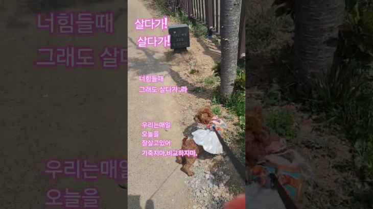 wellbeing:well dying.  잘산다는게 뭐니?돈.명예.능력. 무수히많더라.잘산다의 기준은. 모두가 다르기에 그냥 오늘 잘웃고 적당한 햇빛과 걸음 그리고   일터로!