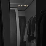 【#74 オーブ集合】#オーブ#発光体#スピリチュアル#座敷わらし#妖精#fairy#dog#犬#かわいい#orb #spiritual