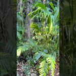 Almost forgot… 👀 #nature #freedom #wellbeing #joy