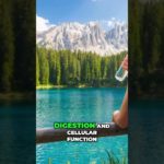 Barbara O’Neill: Water’s Impact on Health & Wellbeing