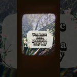 Health and wellbeing, mindfulness, mental health #hopecore #nostalgia #mentalhealthcare #composer