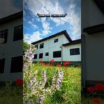 “Level up your mind: Gaming for mental health and well-being.”