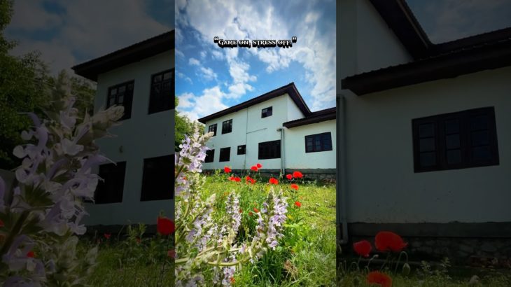 “Level up your mind: Gaming for mental health and well-being.”