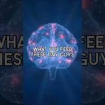 The Gut-Brain-Weight Connection: Foods for Mental Wellbeing and Metabolism