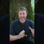 Unlock Natural Euphoria: Trigger Wellbeing From Within