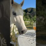 Wellbeing & Magic Moments