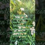 #kindness #mindulness #wellbeing #happiness , an excerpt from the little book of happiness