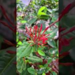 #mothernature #heals #therapy #wellbeing #naturopathy