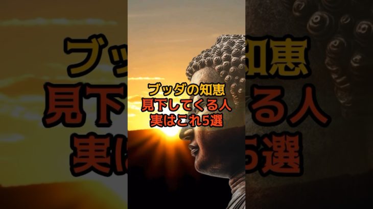 見下してくる人実はこれブッダの知恵　#shorts #ブッダ #スピリチュアル #開運