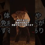 健康は「運動・栄養・休養」の三本柱でつくられる #健康#ウェルビーイング#ヘルスケアカタリスト