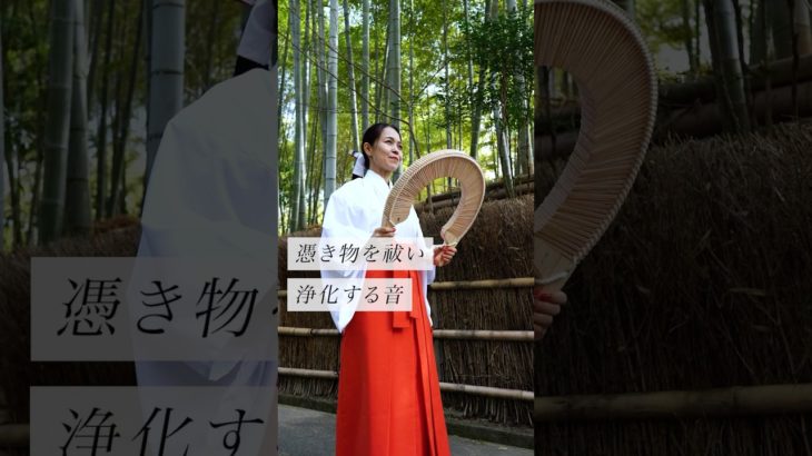 憑き物を祓い浄化する音#スピリチュアル#スピリチュアルメッセージ#スピリチュアルカウンセラー#浄化#波動#運気#邪気祓い