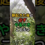 💊[ヘルスビタミン] 朝起きた後に必ずやるべきこと5つ #shorts #健康 #病気 #予防 #免疫 #血管健康 #皮膚健康 #ストレス #雑学