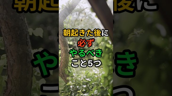 💊[ヘルスビタミン] 朝起きた後に必ずやるべきこと5つ #shorts #健康 #病気 #予防 #免疫 #血管健康 #皮膚健康 #ストレス #雑学