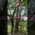 Be the protector of your own well-being..Driving on the hills gives me immense happiness 🧿💙💜💞