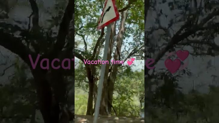 Be the protector of your own well-being..Driving on the hills gives me immense happiness 🧿💙💜💞