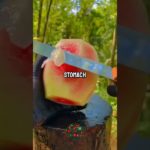 Did You Know? 🤔 #wellbeing #wellness #health #natural #naturalremedy #healthylifestyle #selfcare