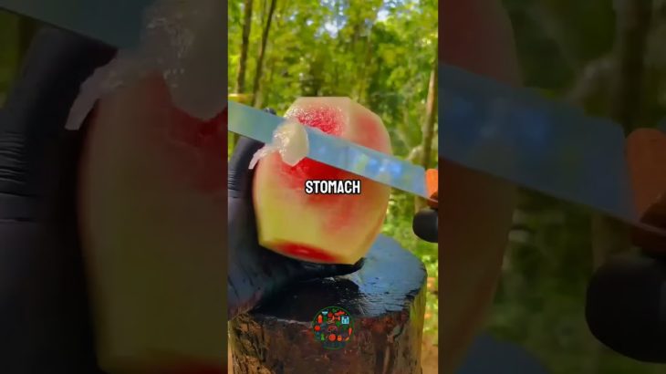 Did You Know? 🤔 #wellbeing #wellness #health #natural #naturalremedy #healthylifestyle #selfcare