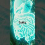 El Intestino – Nuestro Segundo Cerebro