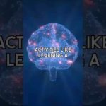 Enhancing Mental Wellbeing Through Prefrontal Cortex Strategies