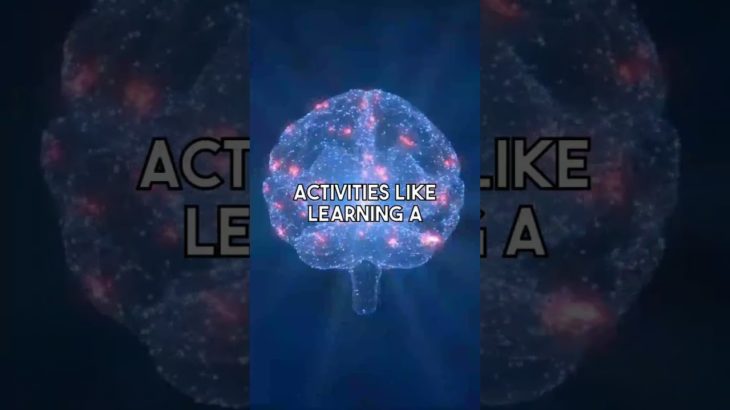 Enhancing Mental Wellbeing Through Prefrontal Cortex Strategies
