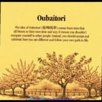 Five Japanese Concepts For Well-being | Find Balance| Find Peace | Japanese Wisdom For Better Life