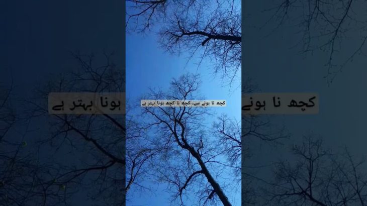 How to Overcome 5000 Steps Challenge? #walking #muzammalayesha #wellbeing