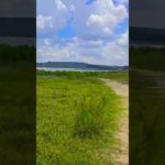 How to boost your mood #nature #emotionalhealth #mentalhealth #wellbeing