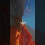 Mindfulness in Nature: Tips for Wellbeing