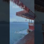 Nature does not hurry, yet everything is accomplished. 🌱 #wellbeing