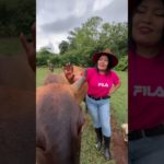 Salud y bienestar para el GANADO