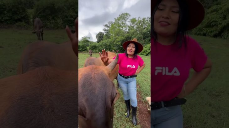 Salud y bienestar para el GANADO