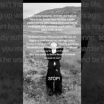 Take care of your mental and emotional well-being. You deserve peace and respect. #joostklein #joost