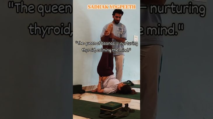 🌿”The queen of asanas — Sarvangasana for complete well-being.” #sadhakyogpeeth