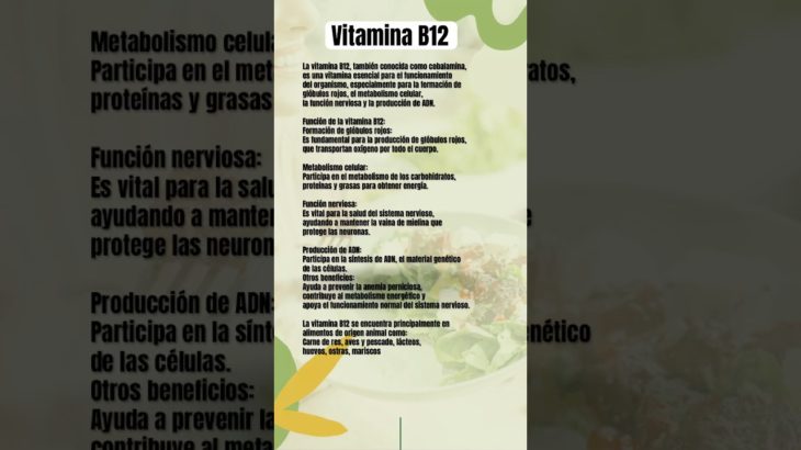 Vitamina B12 #alimentacionsaludable #salud #bienestar #beneficios #energia #dietasaludable #shorts