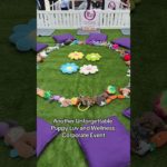 We organise unique & uplifting corporate wellness events. #puppylove #corporateevents #wellbeing