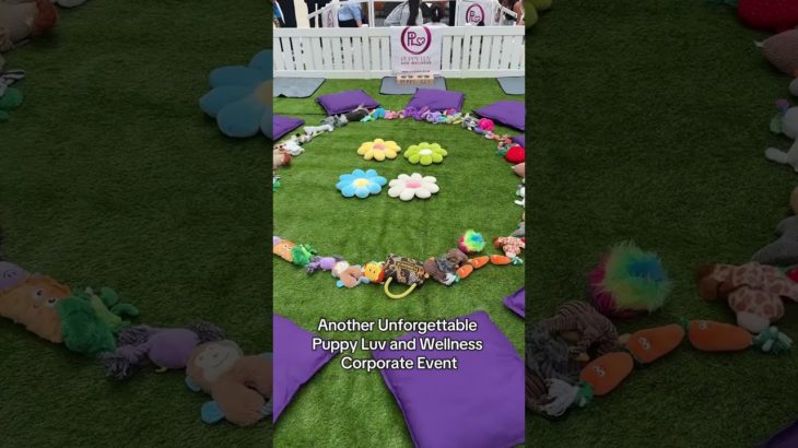 We organise unique & uplifting corporate wellness events. #puppylove #corporateevents #wellbeing