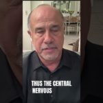 “Your Nervous System” – Why It’s Crucial for Your Wellbeing? #wellbeing  #health  #mindset