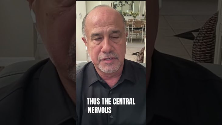 “Your Nervous System” – Why It’s Crucial for Your Wellbeing? #wellbeing  #health  #mindset