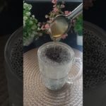 sabja seeds:A superfood for your well -being#shorts #viral