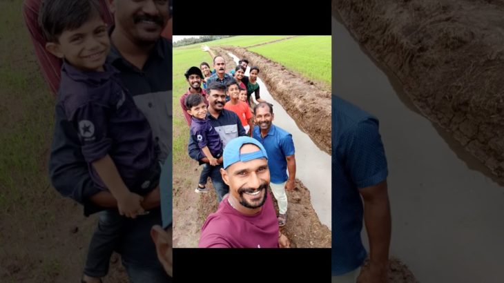 short, pleasant experiences that bring a sense of joy, well-being, and satisfaction to your day.