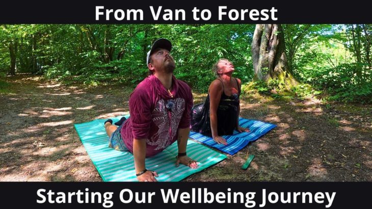 From Van to Forest | Starting Our Wellbeing Journey